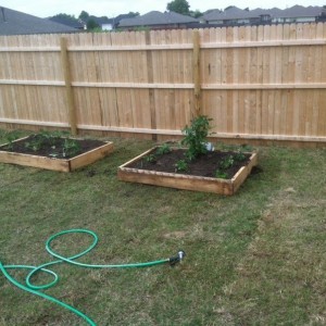 Finished and planted :D