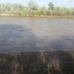 Rio grande :laugh: