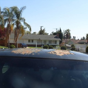 Defective paint