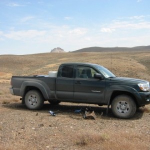 Bone stock in BFE Nevada