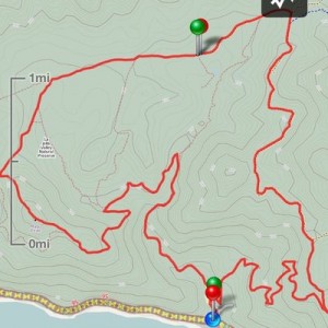 Roughly 13 miles