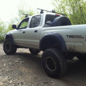 Flexin