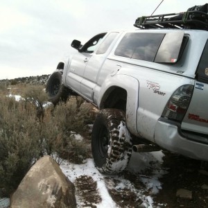 Flexy