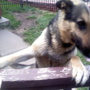 camera shy