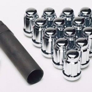 LUGS1