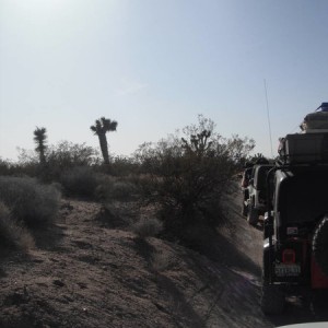 Mojave Road
