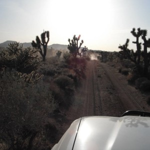 Mojave Road