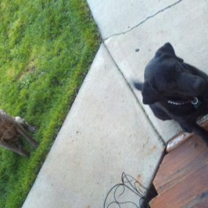 Hank and cole
