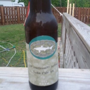 Dogfish Head India Pale Ale....new favorite beer