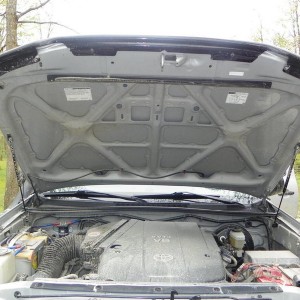 speaker_snorkle_all_the_rest_018
