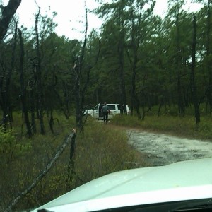 I backed in a small trail for lunch and shut down. K9 Ranger thought I look