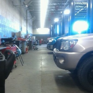 Never really noticed till now that the tacoma and tundra have similar lines