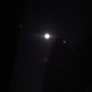 Moon is looking nice! Looks to be almost full.. Fuck the city!