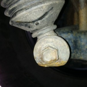 Rausch trail damage