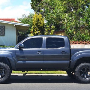 tacoma3102