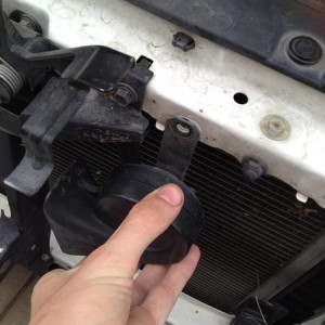 Horn replacement