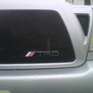 lil trd emblem with pink accent