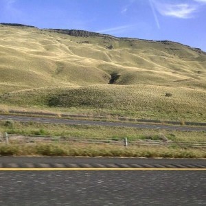 First time un eastern WA. Different than anything I have seen before
