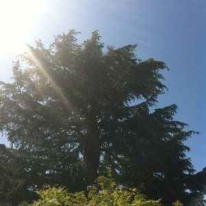 Earthquake weather 2Day in SoCal !