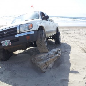 beach fun