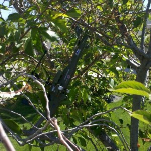 I flew my helicopter into a tree