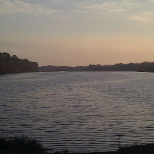 The beauty of SC. Not live though.