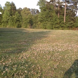 IMAG010410