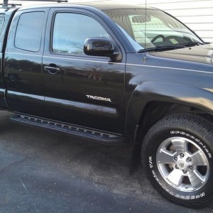 Black Beauty