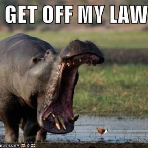 lawn