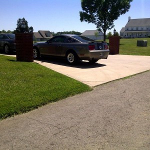 Usually not a fan of mustangs, but that one is nice.