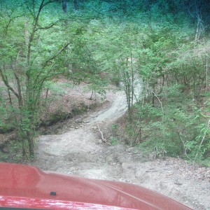 Weeeee!!!