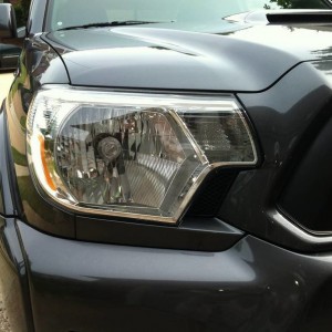 Bulb painted