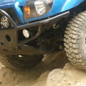 Bumper Out n About