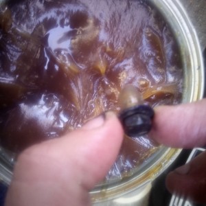 caramel coated bolt with WW HV