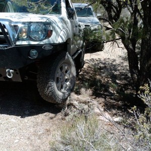 For all the mall crawlers out there LOL