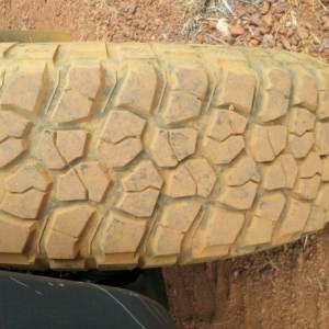 livem4OtzR
