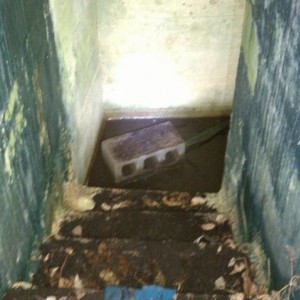 IMAG06181