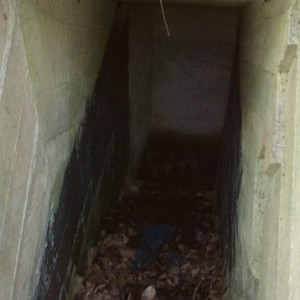 IMAG06171