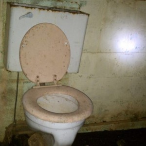 IMAG06222