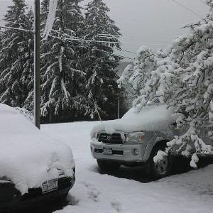 winter and before mud