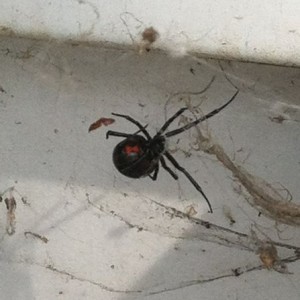Came across this at work today!