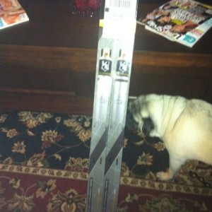 :yay: ups man!