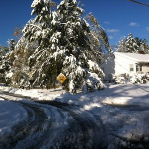 From the Halloween snow storm in the NE last year.
