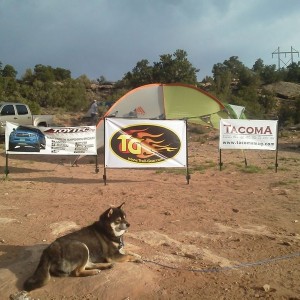 Thank you to our sponsors!