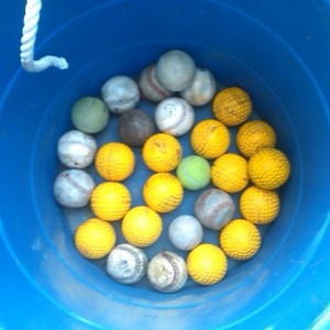 1 weeks worth of balls hit into my yard by POS neighbors kid. Helped them b