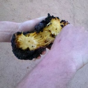 So we cut him open and ate him
