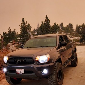 Sequoia national park during the fires