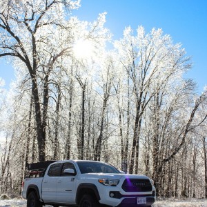 Snow day at the property