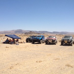 Beautiful day to chase