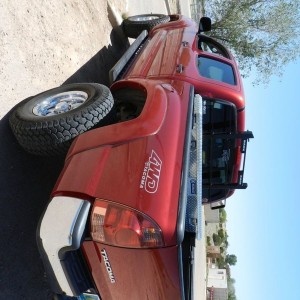 Mall crawling like a boss
